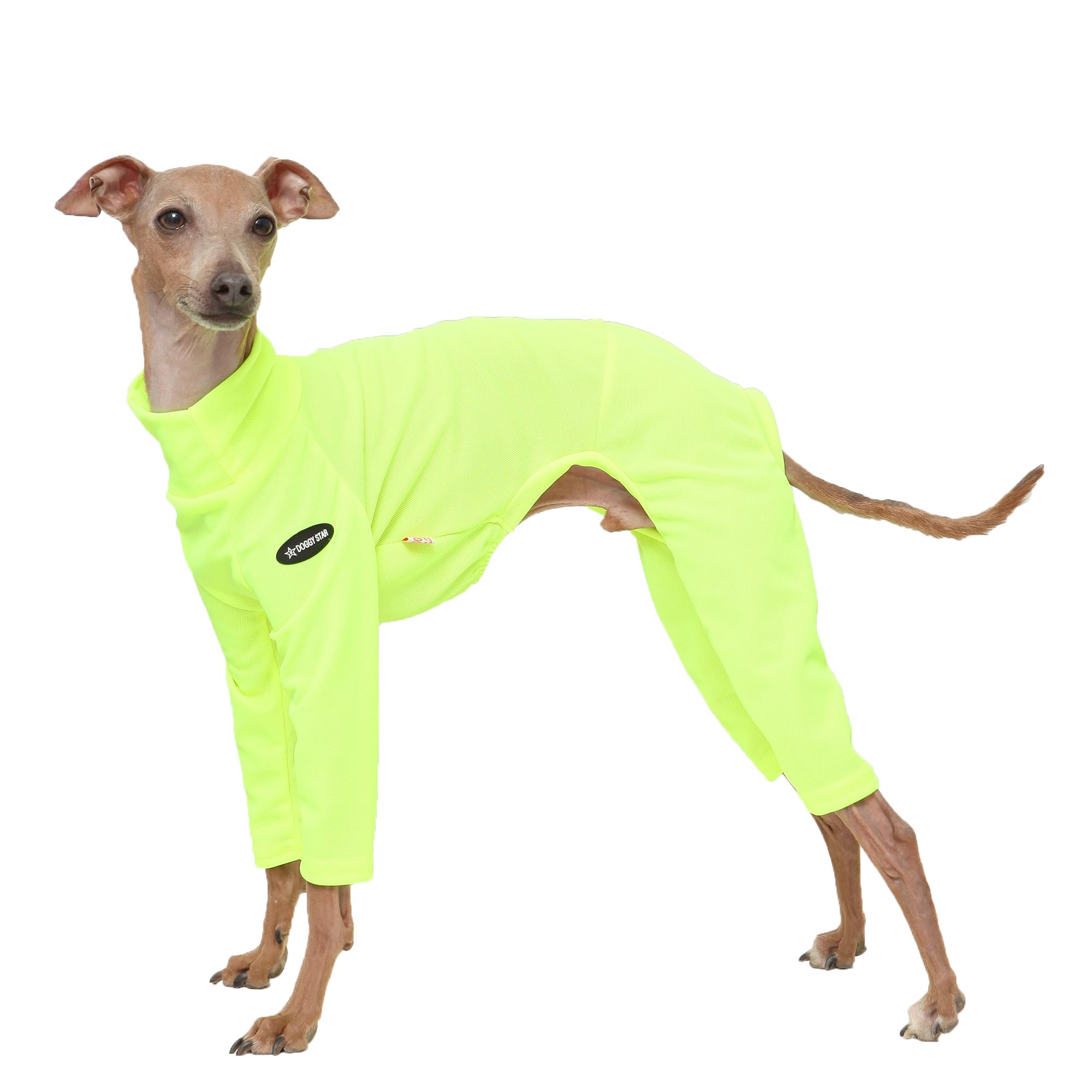 D Doggy Star Italian Greyhound Clothes Stretchy Neon Onesie Spring Summer (3XL,Onsi Ne Yellow) โ image 1