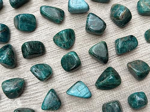 Image of GAF TREASURES 1 /2 LB Apatite Tumbled Stones, Polished Apatite Gemstone, Apatite Healing Crystals (Apatite)