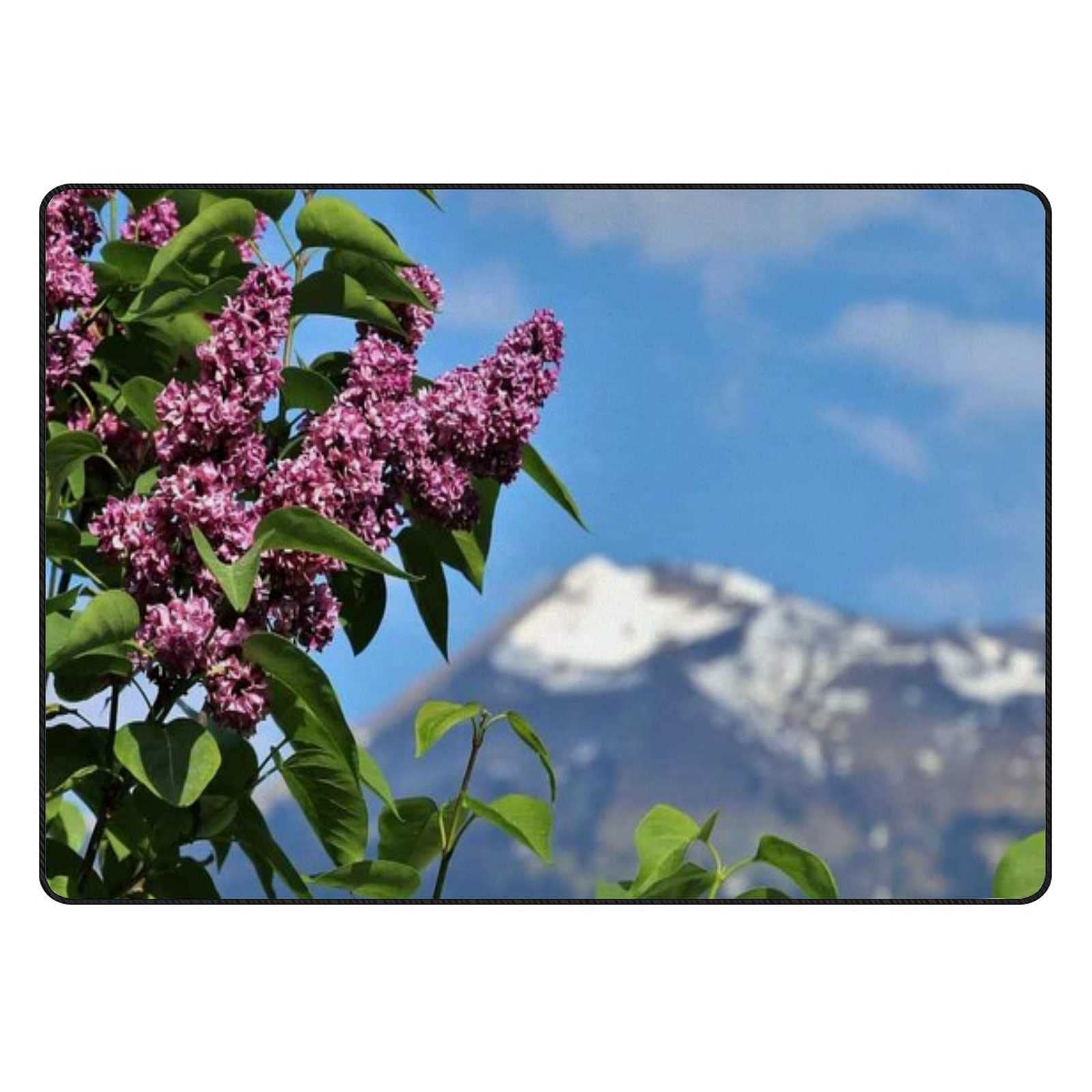 Tapis de sol super doux velours corail épais déco intérieur 203x147