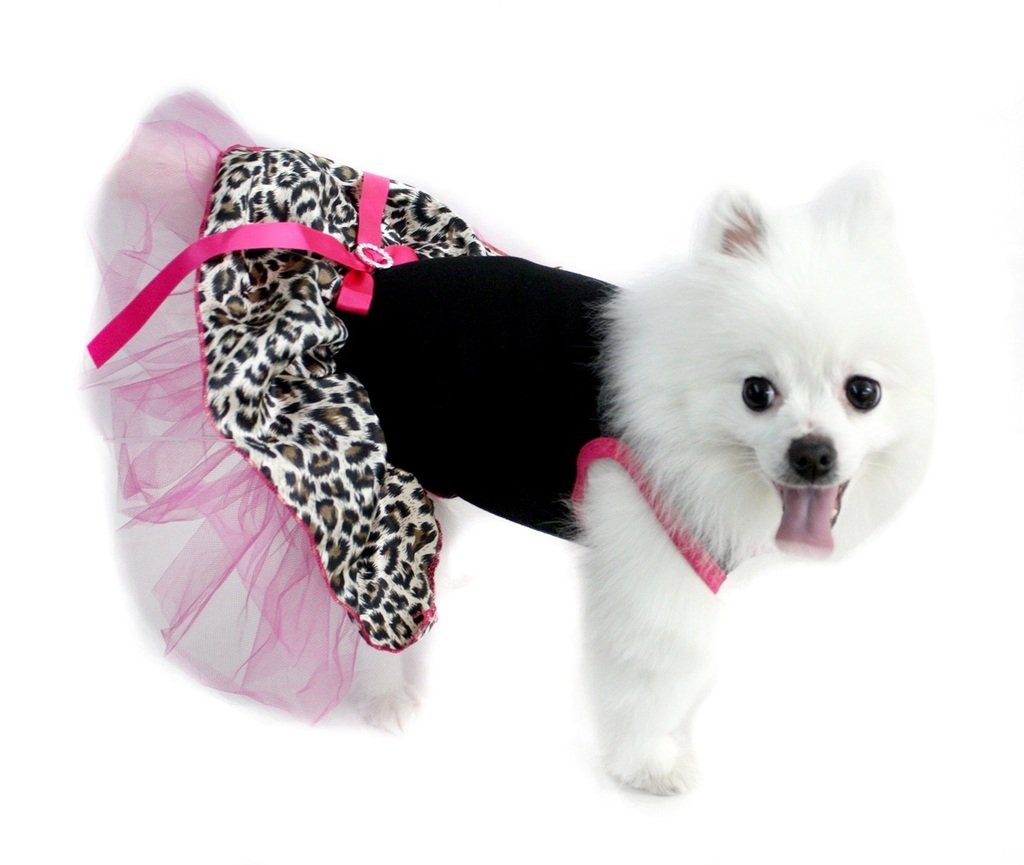 Robe de chien coton noir pour les balades de votre animal de compagnie