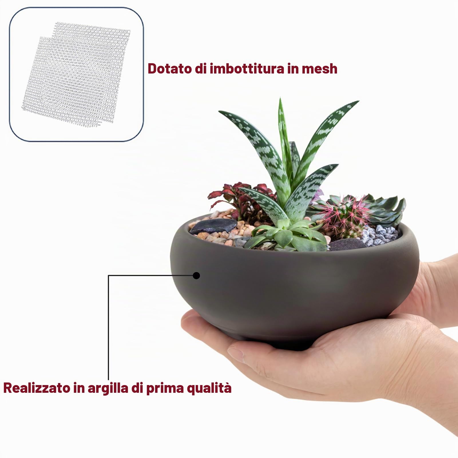 Vaso per bonsai da 15,2 a 20,3 cm, rotondo, in ceramica non smaltata, per piante grasse + schermo di drenaggio