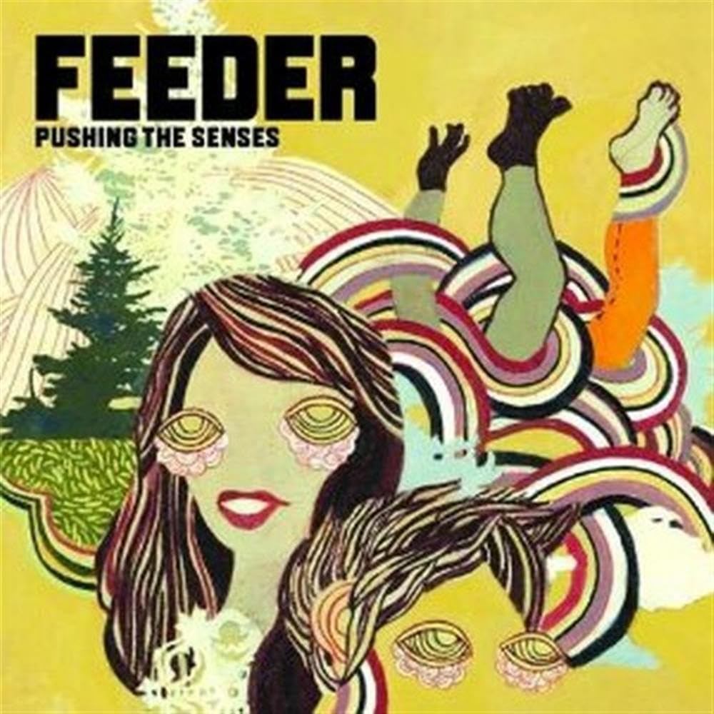 洋楽 FEEDER PUSHING THE SENSES CD Pushing the Senses: Feeder: Amazon.ca: Music