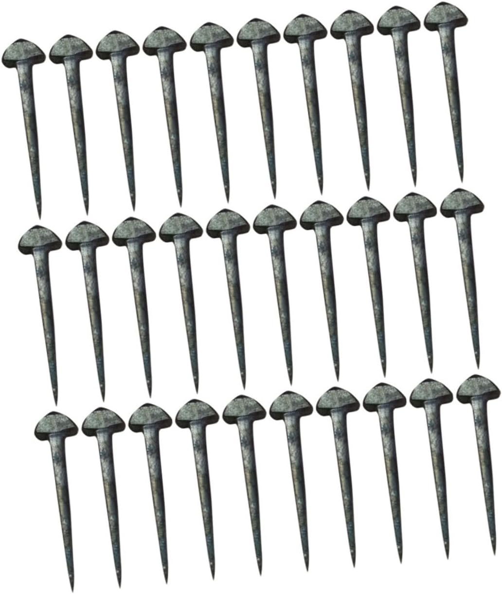 BESPORTBLE 50pcs Small Horseshoe Tools Hoof Nails Horseshoe Fixators Nails for Easy Install