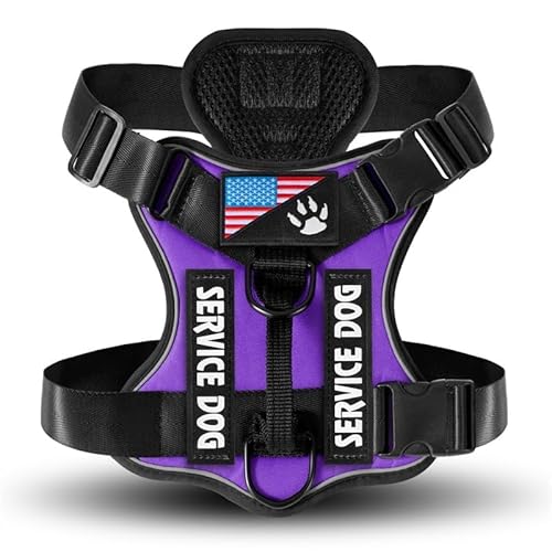BETTYLAI Personalized Dog Harness,No-Pull, No-Choke with Custom Patches & 3 Leash Clips, Reflective Pet Vest with Easy Control Handle for Small, Medium and Large Dogs (Purple)