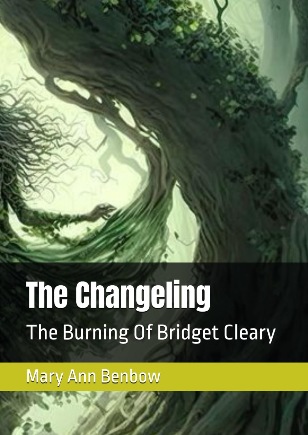 The Changeling: The Burning Of Bridget Cleary