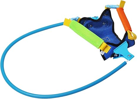 device for blind dogs