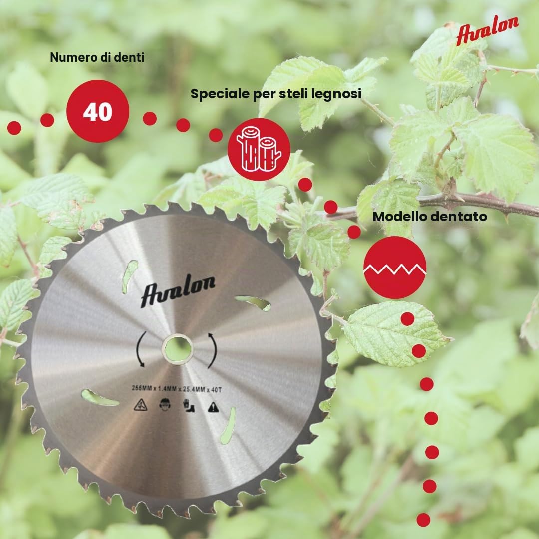 Avalon Pro - Disco professionale da 40 denti per decespugliatore, lama speciale per steli legnosi 255 x 1,4, lunghezza dente di widia 6,0 mm