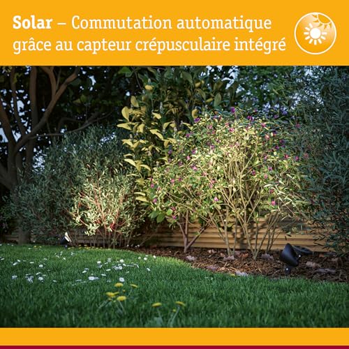 Spot solaire Solena Paulmann 94873 pour sécuriser vos pas