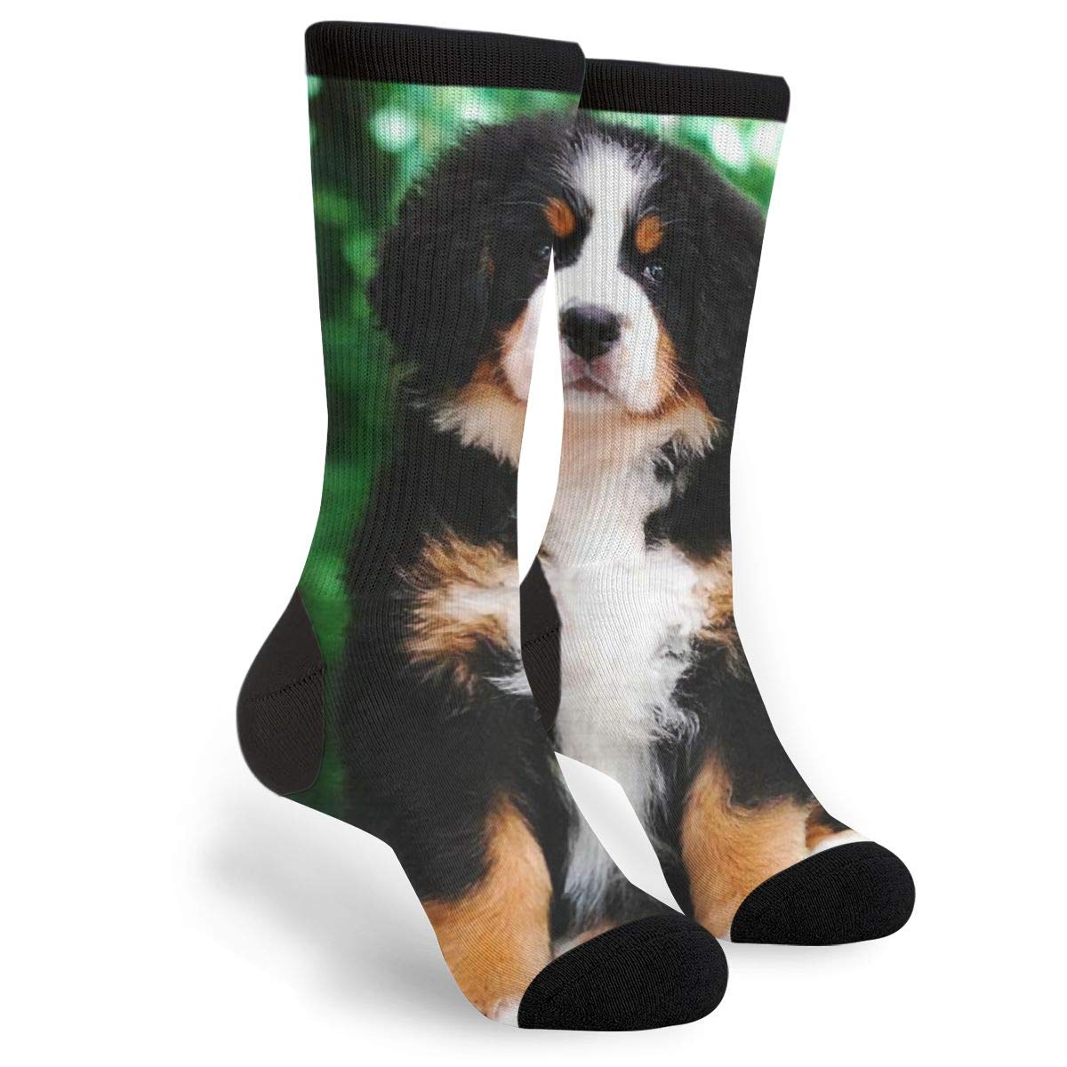 351 Men's Socks 1353 Wo Funky Socks Bernese Mountain Dog Athletic Socks Casual Workout Socks Super Soft Warmer Socks For Outdoor Climbing Walking