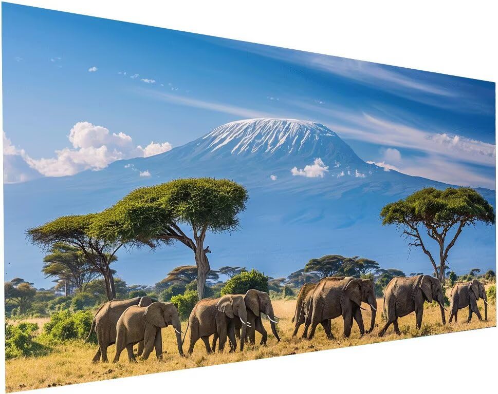 Kit diamond painting éléphant S-227 à offrir pour anniversaire