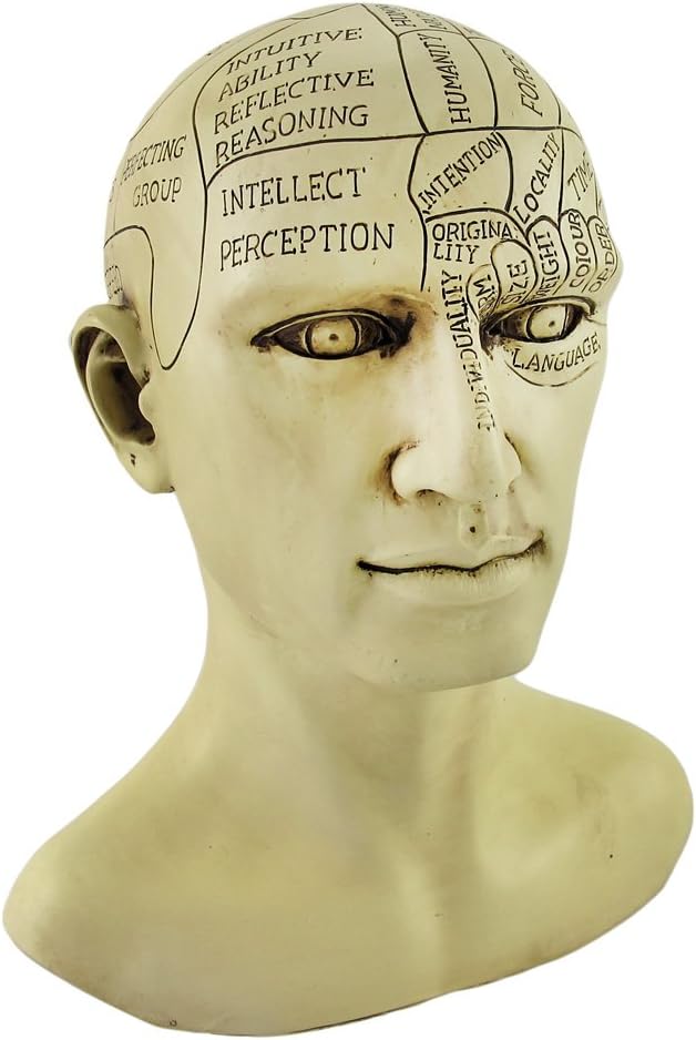 Things2Die4 Creepy Cast Resin Phrenology Head Victorian Steampunk