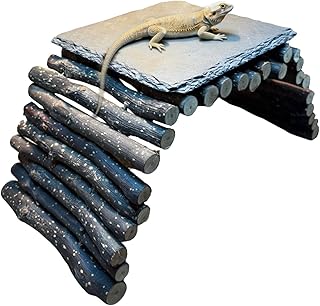 Bearded Dragon Tank Accessories - Natural Rock Basking Platform & Wooden Climbing Bridge Ladder Hideout, Habitat Décor for Tortoise, Snake, Gecko & Reptile Terrariums