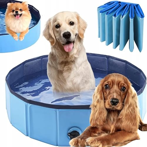 Taylor & Brown Dog Plastic PVC Paddling Pool Swimming Portable PVC Baths for Small Medium Dogs Pool Bathing Tub Kid Pet Pool for Indoor/Outdoor (80cm(Dia) x 20cm(H)