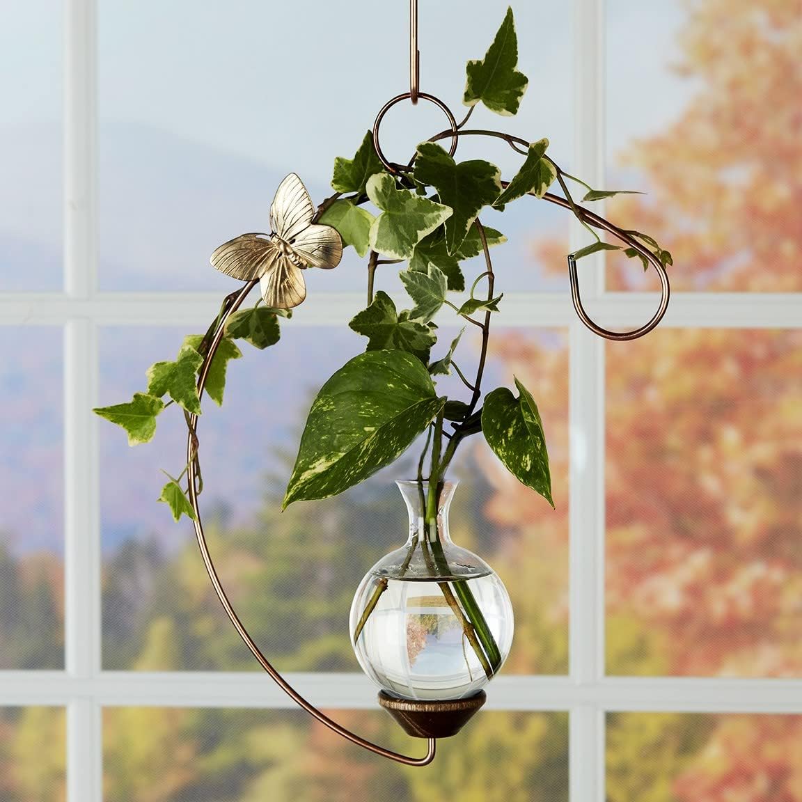 Crescent Hanging Plant Rooting Vase | Glass Hanging Propagation Vase for Cuttings | Indoor Decorative Plant Rooter