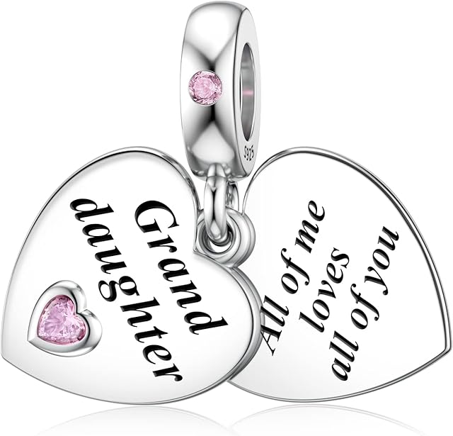 DALARAN Sterling Silver Heart Charm for Pandora Mum Sister Daughter Wife Charm Family Dangle Charm