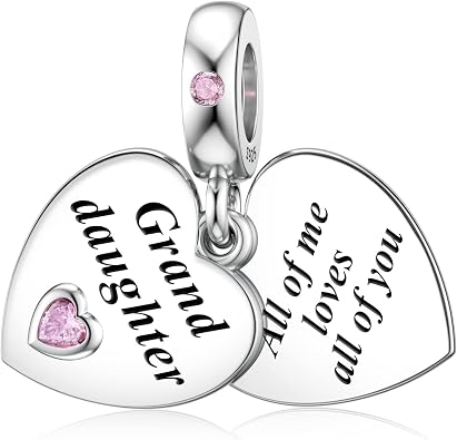 JIAYIQI Mother Sister Daughter Wife Charms Fit Moments Charms Bracelet Necklace with Double Heart Love Beads for Women Jewelry Gift