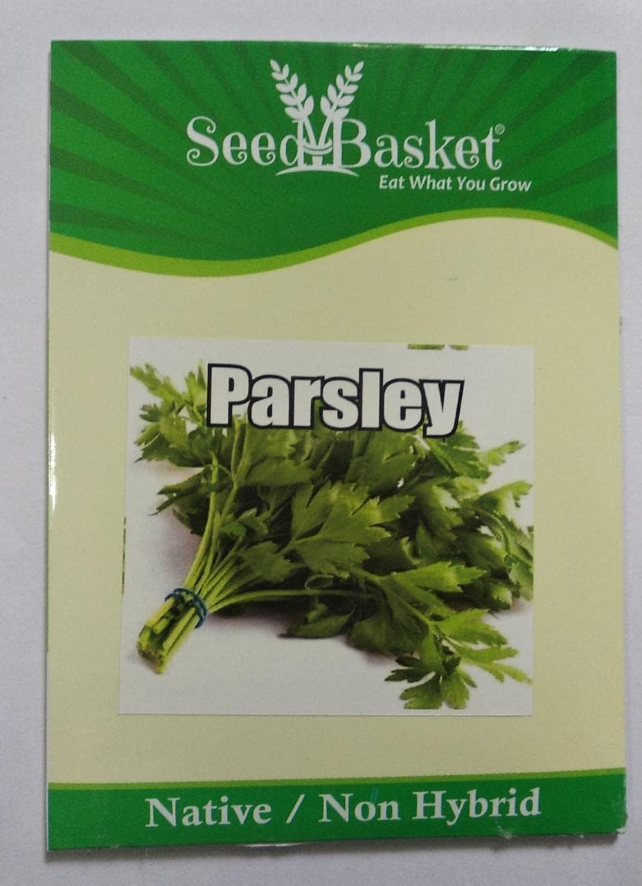Parsley Seeds - 200 Seeds + Growing Guide -3