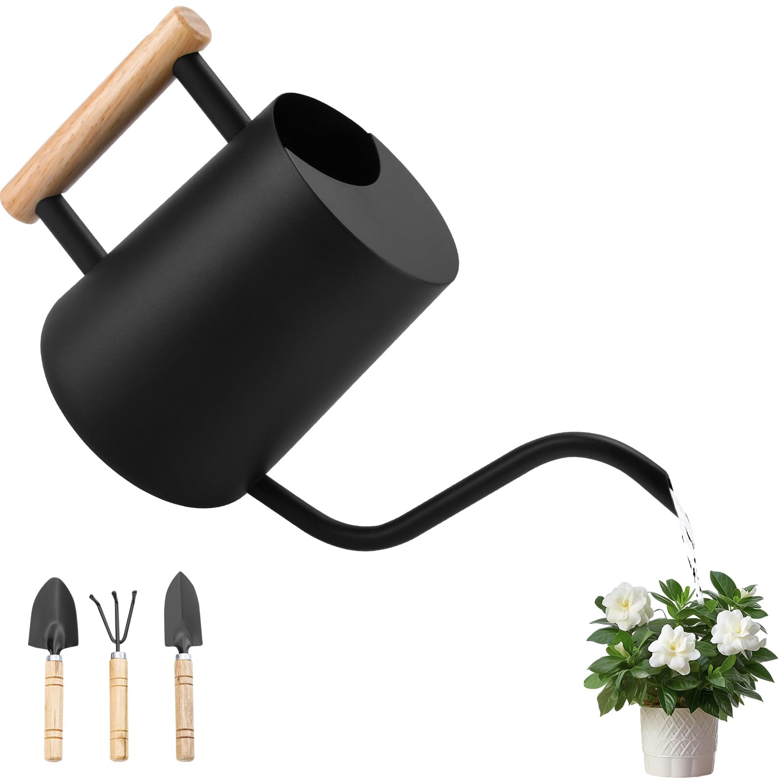 Regadera Pequeña de 1L,Regadera para Plantas de Interior con Caño Largo y Pequeñas Herramientas de Jardinería,Mango de Madera,Regaderas de Acero Inoxidable para Plantas en Maceta y Suculentas