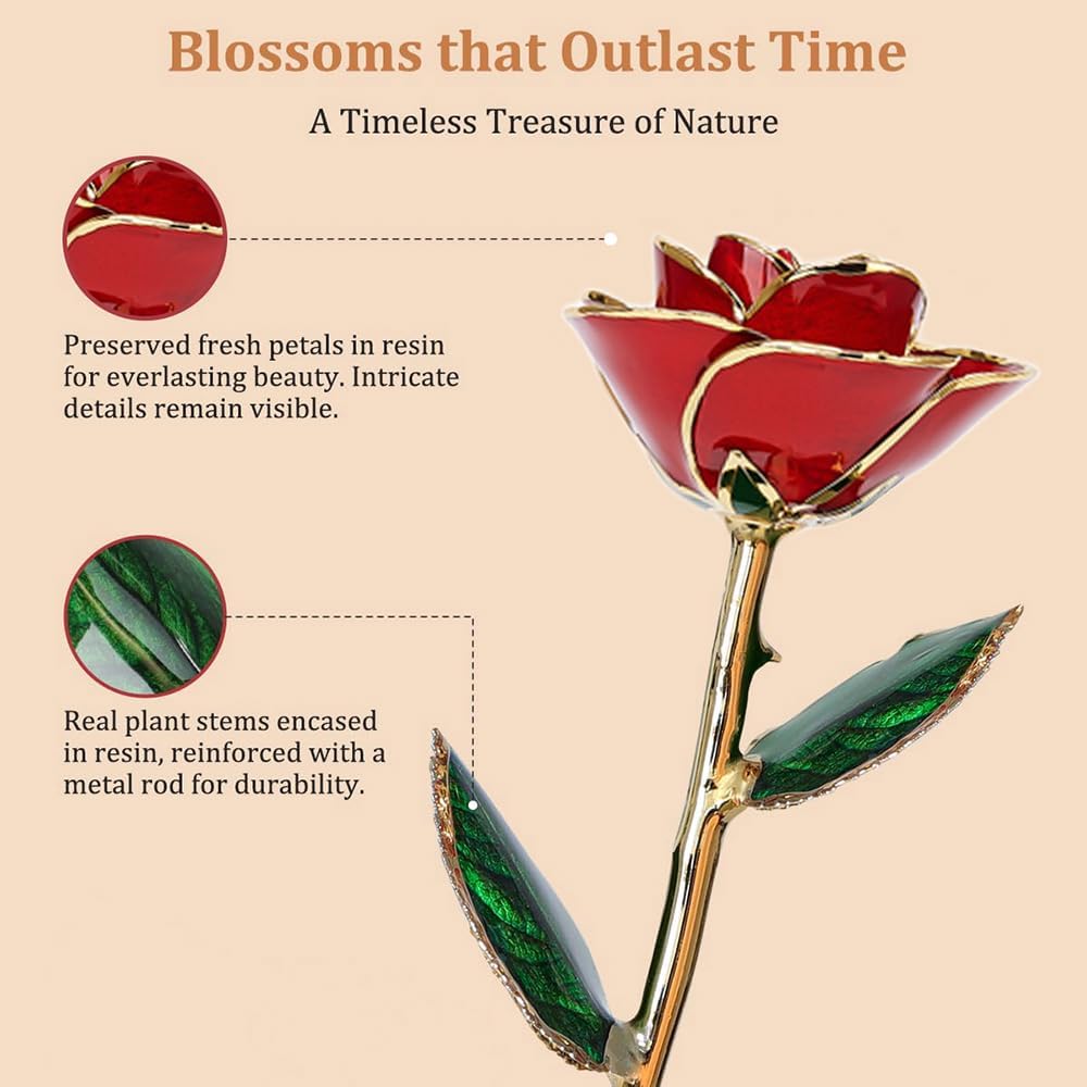 Gold Dipped Rose - Dipped 24K Gold Real Rose - Genuine One of a Kind - Eternal Romantic Present for Her - Best for Valentine's Day, Mother's Day, Anniversary, Birthday (Red) - Image 2