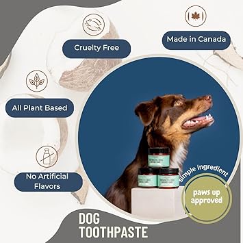 dog toothpaste at home