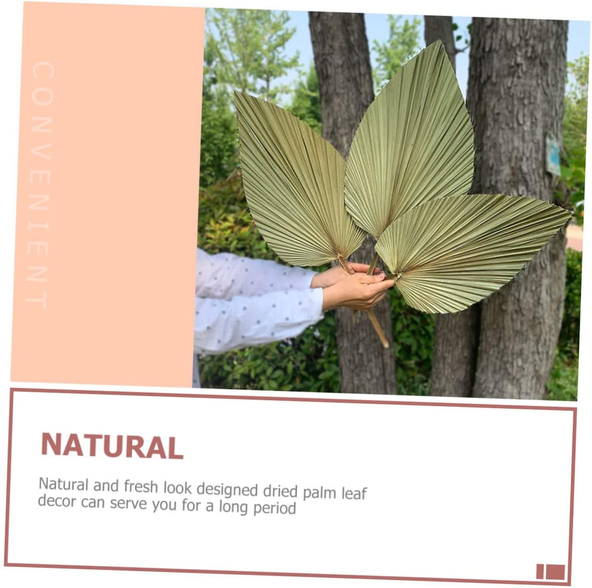 4pcs Dried Palm Leaf Decor Natural Wall Art Ornaments for Wedding and Party Decorations Easy Care Palm Leaf Decoration for Indoor and Outdoor Use for Holiday Setup