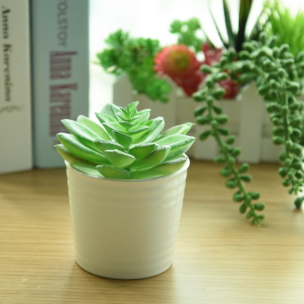 Frasheng 6 Pièces de Plantes Succulentes Artificielles en Pot,Petits