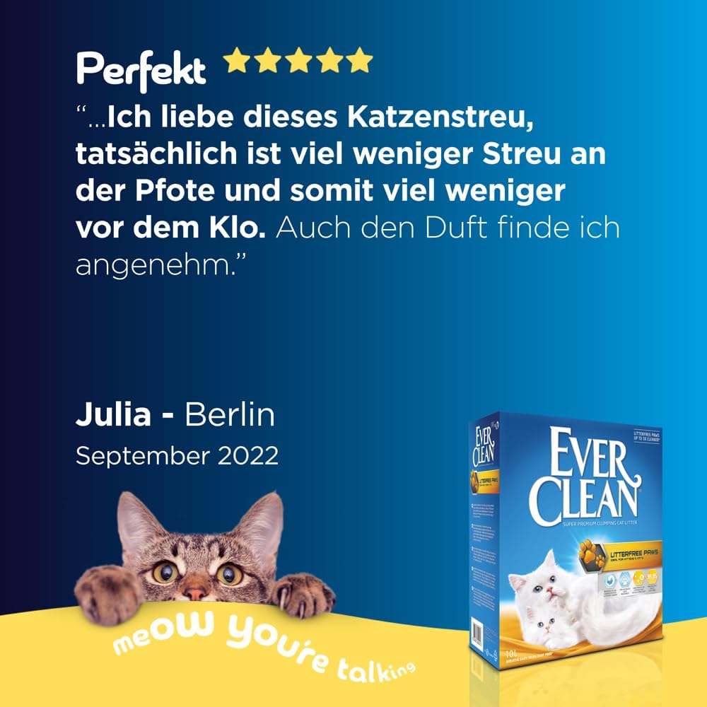 Vue 6