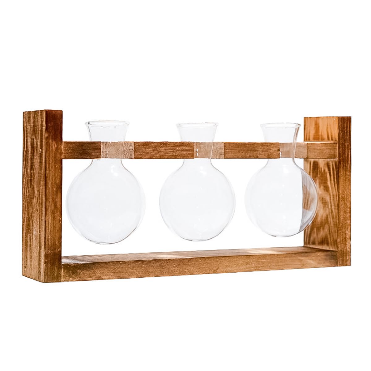 Mini terrarium de bouturage avec support bois et vase hydroponique en verre