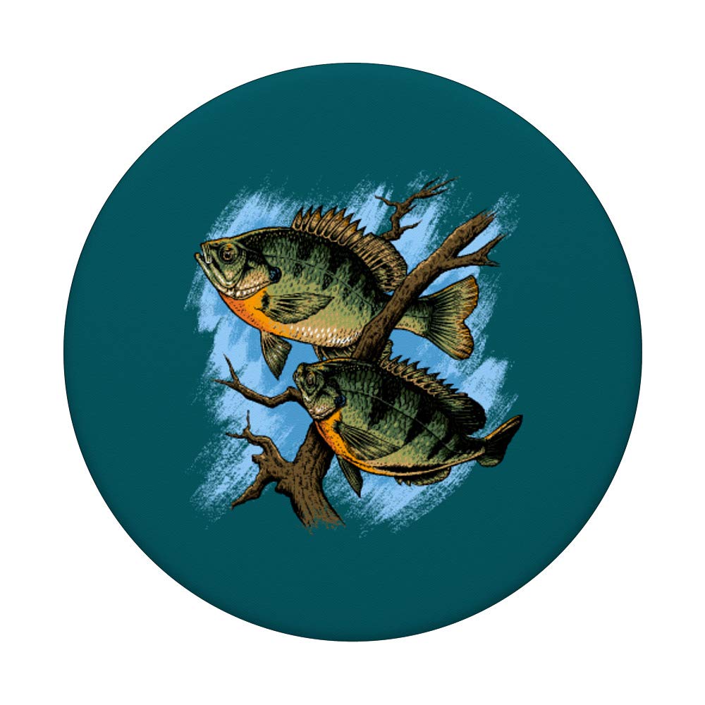 Best Fishing Rod For Bluegill – iPhone 14 Blugill Fishing Rod Fisherman Bluegill Fisher Essentials ...