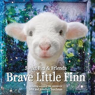 Brave Little Finn Audiobook By Jennifer Churchman, John Churchman cover art