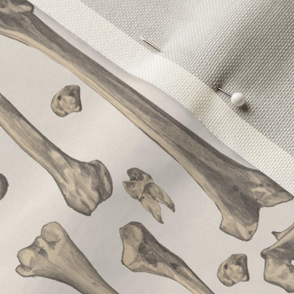Spoonflower Fabric - Bones Anatomy Skeleton Medicine Pencil Drawing Biology Printed on Upholstery Velvet Fabric Fat Quarter - Upholstery Home Decor Bottomweight Apparel