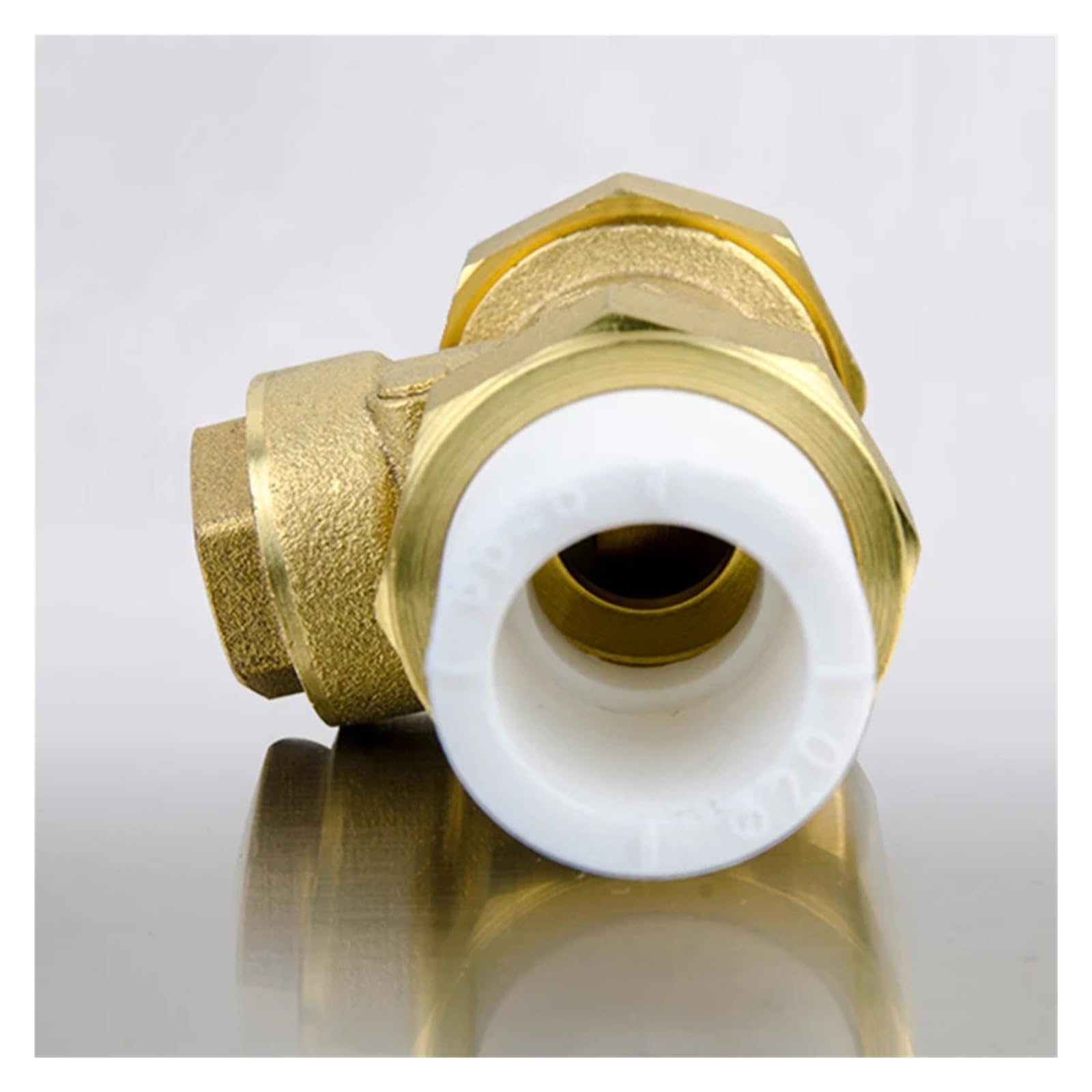 Valvola di ritegno orizzontale PPR da 1 pezzo Valvola di riflusso in ottone doppio hot melt Valvola unidirezionale for prevenire il riflusso 'acqua(PPR40,B Type)