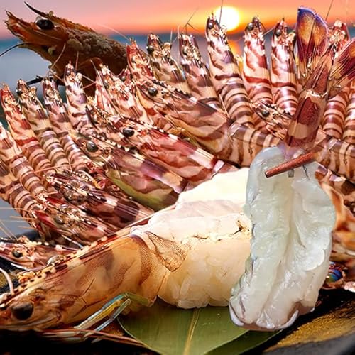 ԊCV 2LyYⓀz Ԃ 1kgi24`28jF{VY ۘa ԃGr }Ⓚ {B꒼ hg VN N}Gr