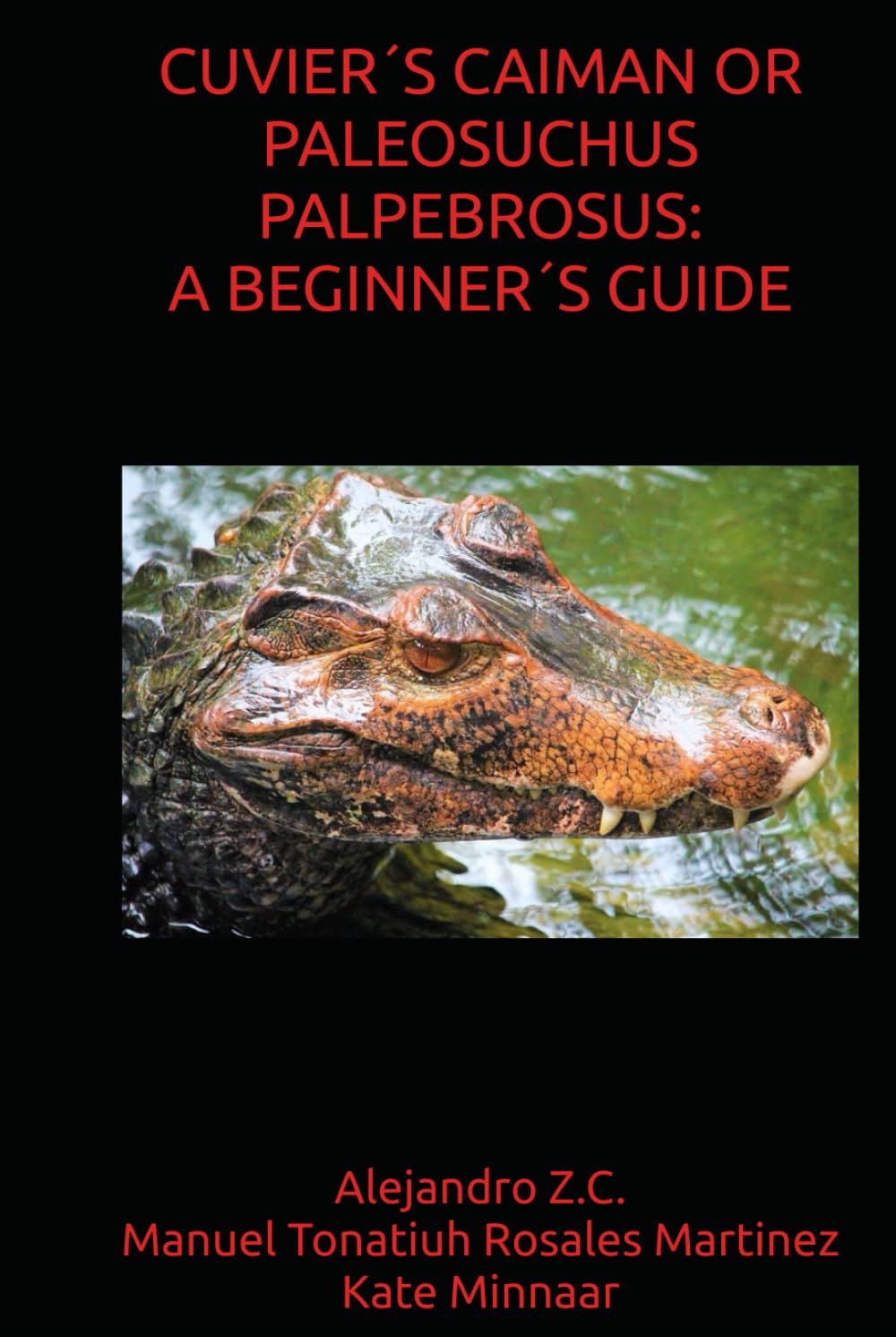 CUVIER´S CAIMAN OR PALEOSUCHUS PALPEBROSUS: A BEGINNER´S GUIDE
