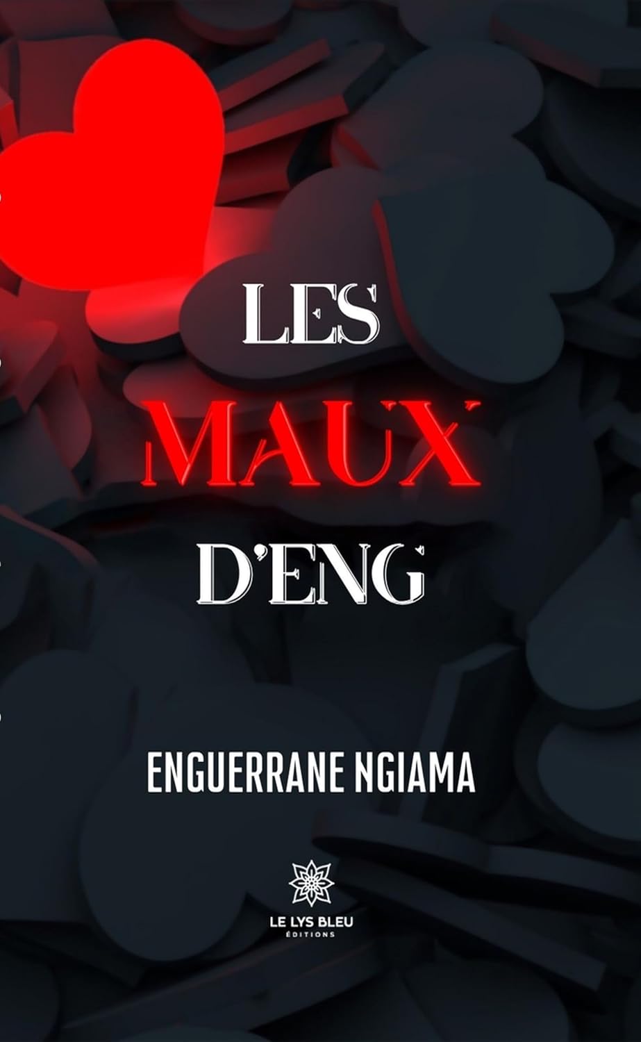 Les maux d’Eng (French Edition)