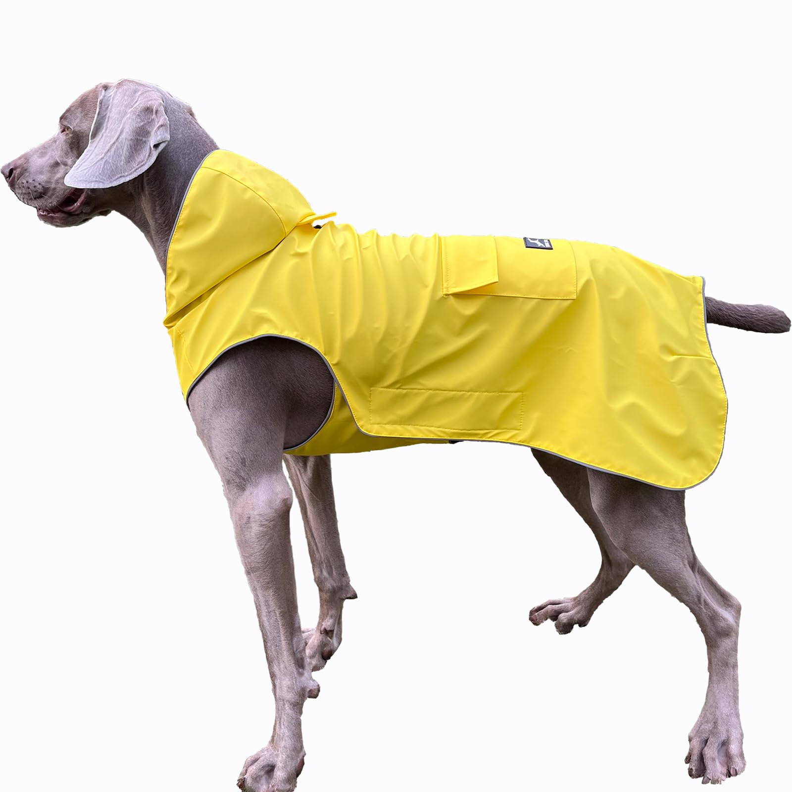 FLYING TAIL Nicht versteifend, superweicher Handgefühl Hunderegenmantel, reflektierend, verstellbar, leicht zu tragen, Leinenloch für S - XXXXXL Hunde (Gelb, S)