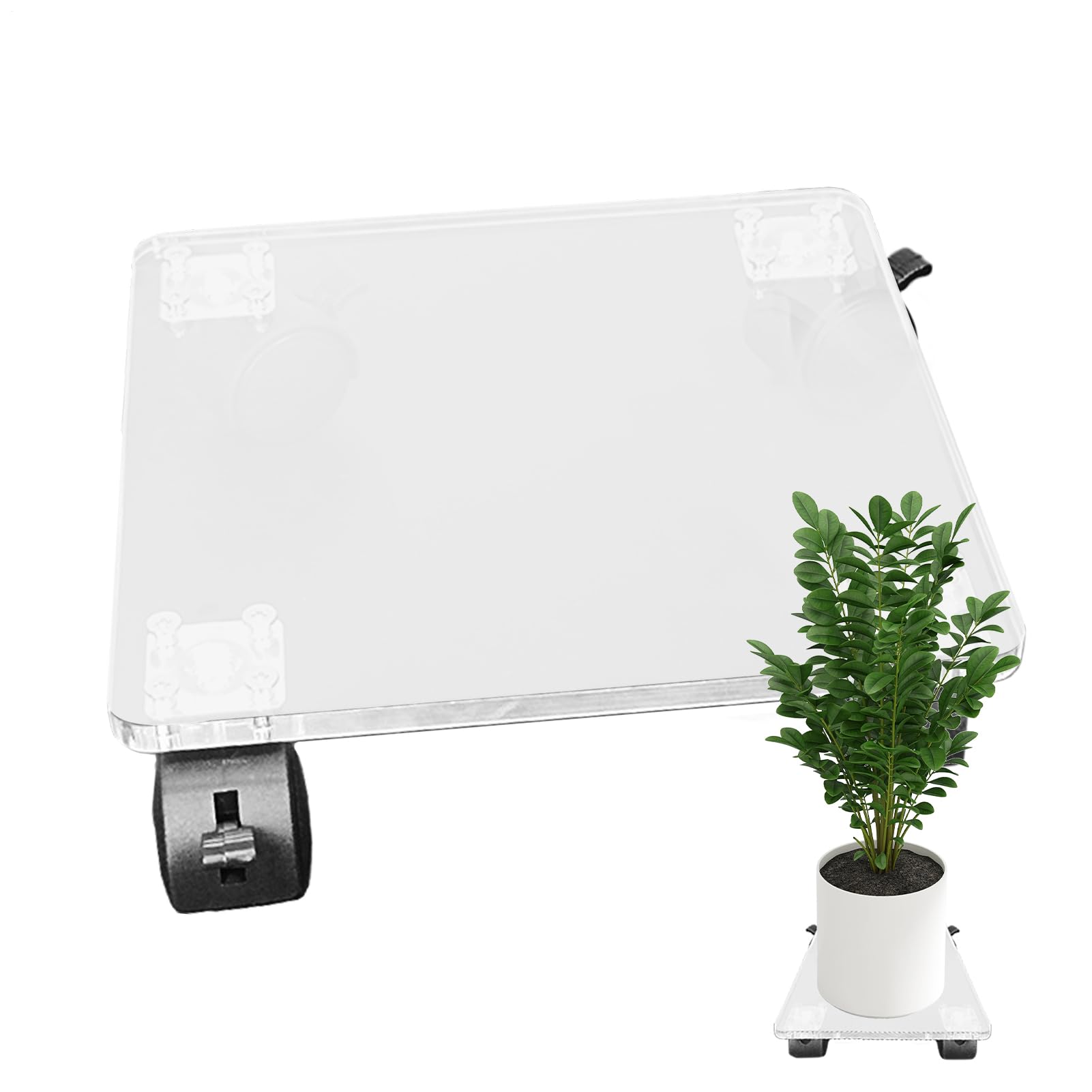 Présentoir de fleurs portable et support de jardin pour sublimer le salon