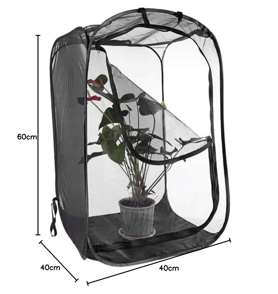 Stick Insect Enclosure Collapsible Butterfly Cage Transparent Insect Cage Net Portable Caterp illar Butterfly Habitat for Butterflies Insects Raising — view 6