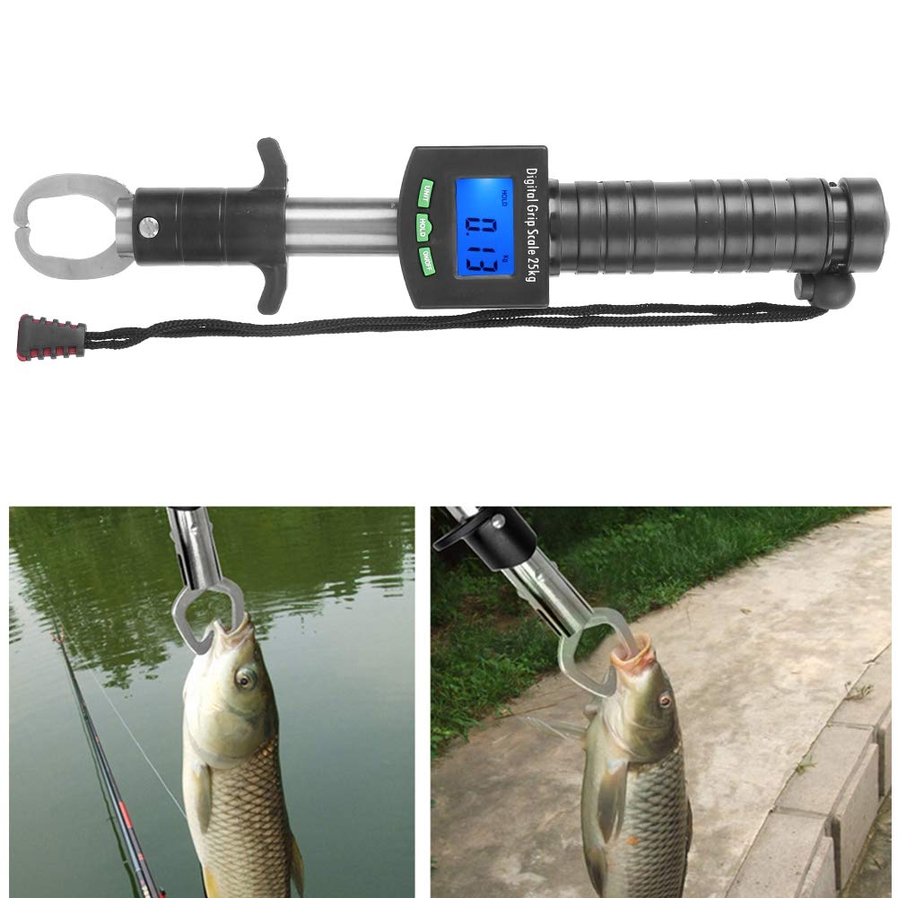 Balance de pêche numérique en acier inoxydable, pince à lèvres pour poisson, balance de poids électronique, poignée rotative résistante à l'eau pour les pêcheurs, accessoires de