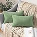MIULEE Funda Cojines para Sofá Funda de Almohada de Corduroy Súper Suave Cojin de Pana a Rayas Decoración Moderna para Sofá Silla Cama Bancos Sala de Estar Dormitorio 30x50 cm 2 Piezas Verde Menta