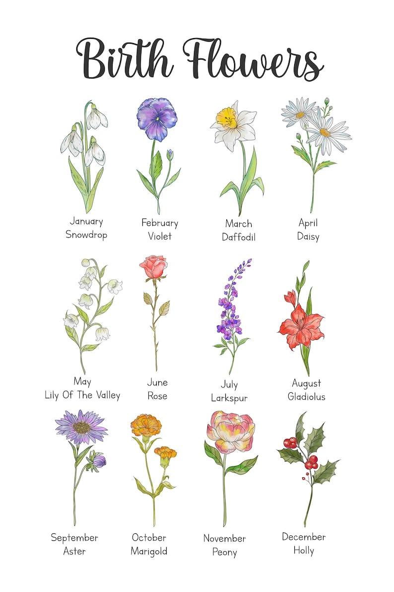 June Flower Sign June Birth Flower And Stone