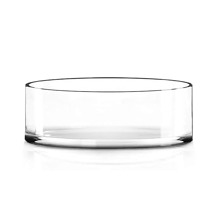 Buy CYS EXCEL Wide Cylinder Clear Glass Vase (H4" D12") Multiple