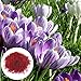 Produktbild Benoon Safran-Krokus-Samen, 200 Stück/Beutel Safran-Krokus-Samen Natürliche, Sichere, Fruchtbare Blütenpflanzensamen Für Den Garten Safran Krokus Samen
