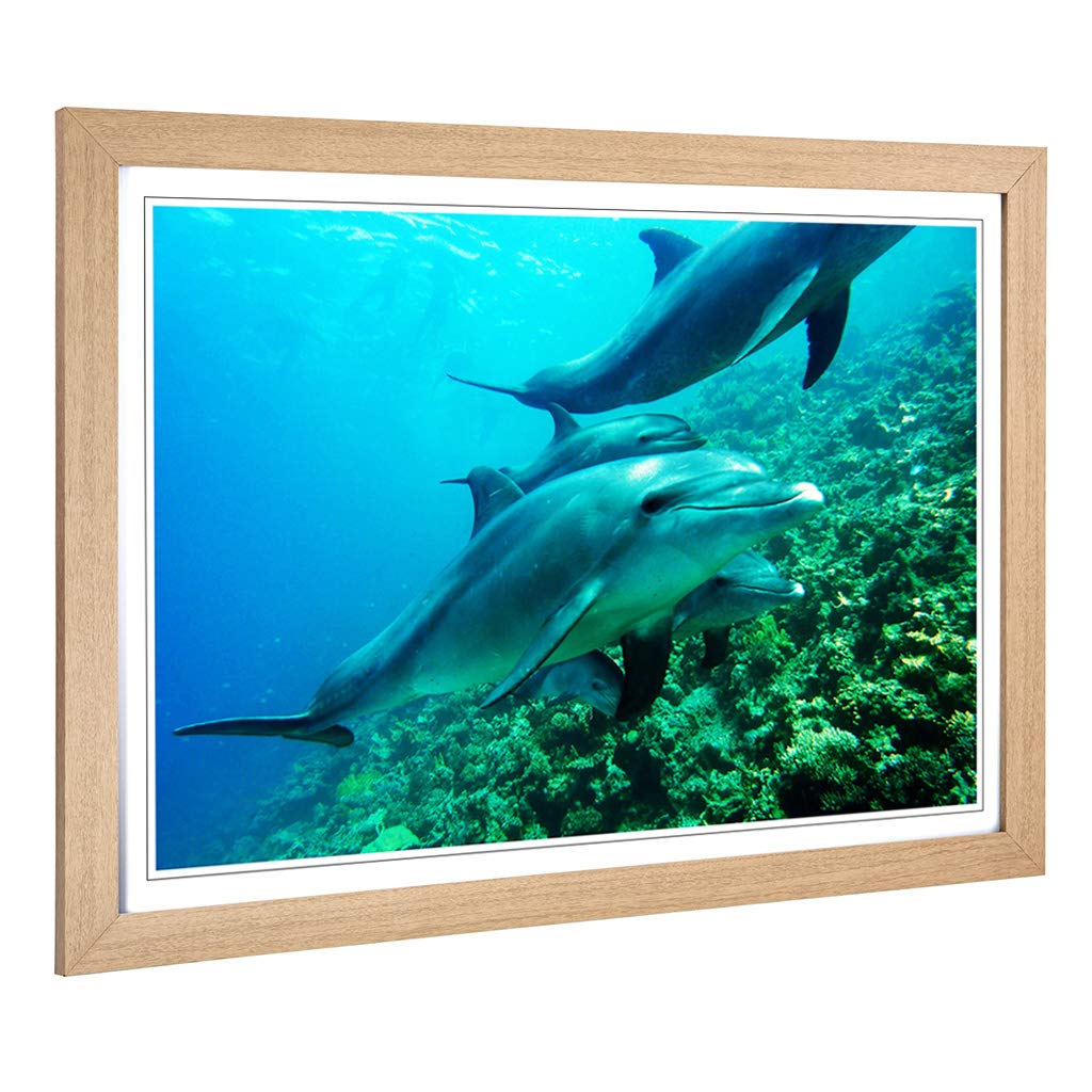 Big Box Art Framed Print of Dolphins Design | Wall Art Picture | Home Decor for Kitchen, Living, Dining Room, Lounge, Bedroom, Hallway, Office, Oak, A2 / 24.5x18 Inch / 62x45cm