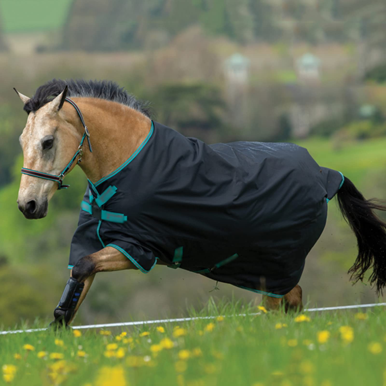 Gewicht Pferd Weidedecke, Comfortable, Breathable and Durable Fabric, Easy to Put on and Take Off, Adjustable Buttons Make the Horse Move Freely(145cm/57in)