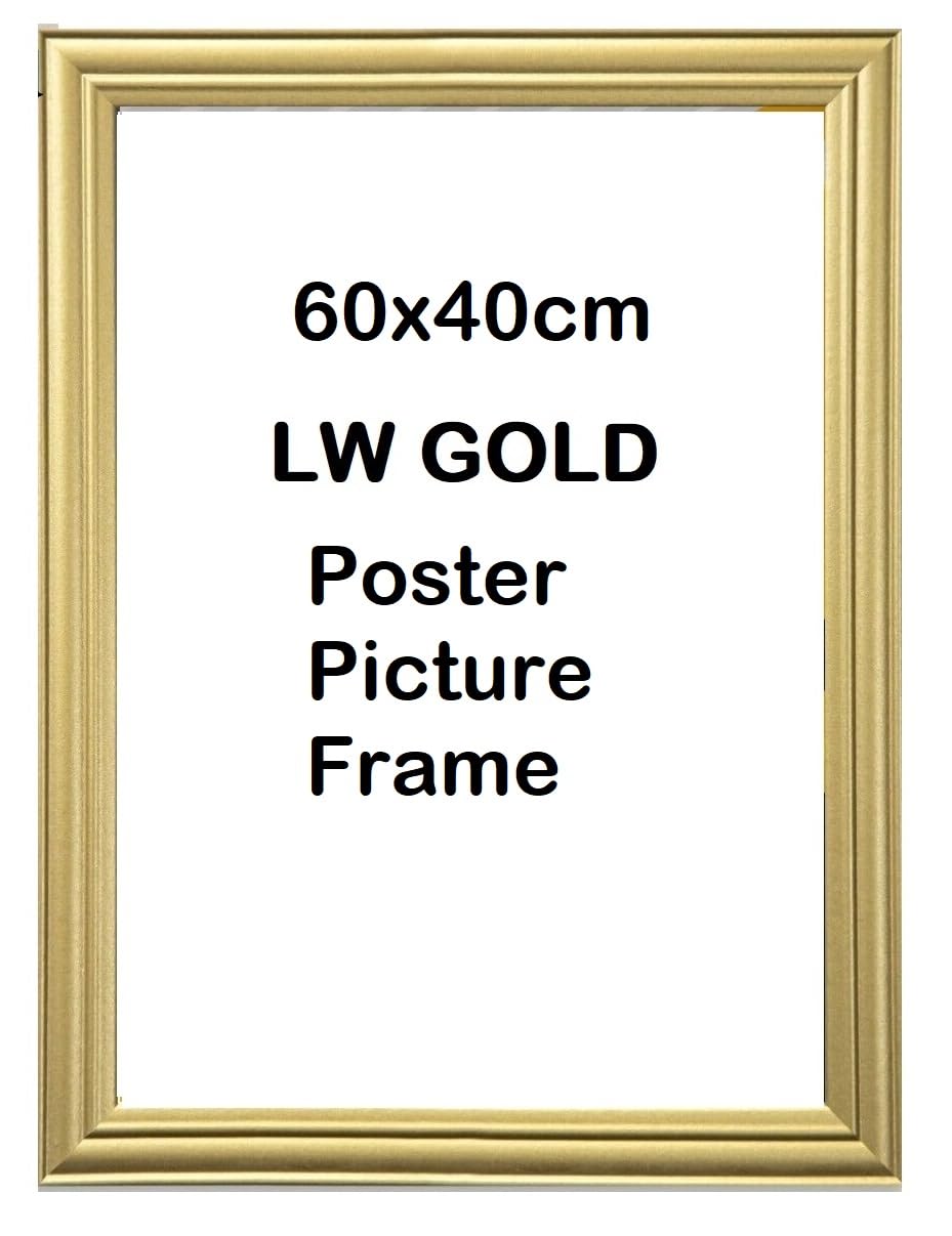 60x40cm Antique Lw Gold Poster Picture Frame (Size,60x40cm)