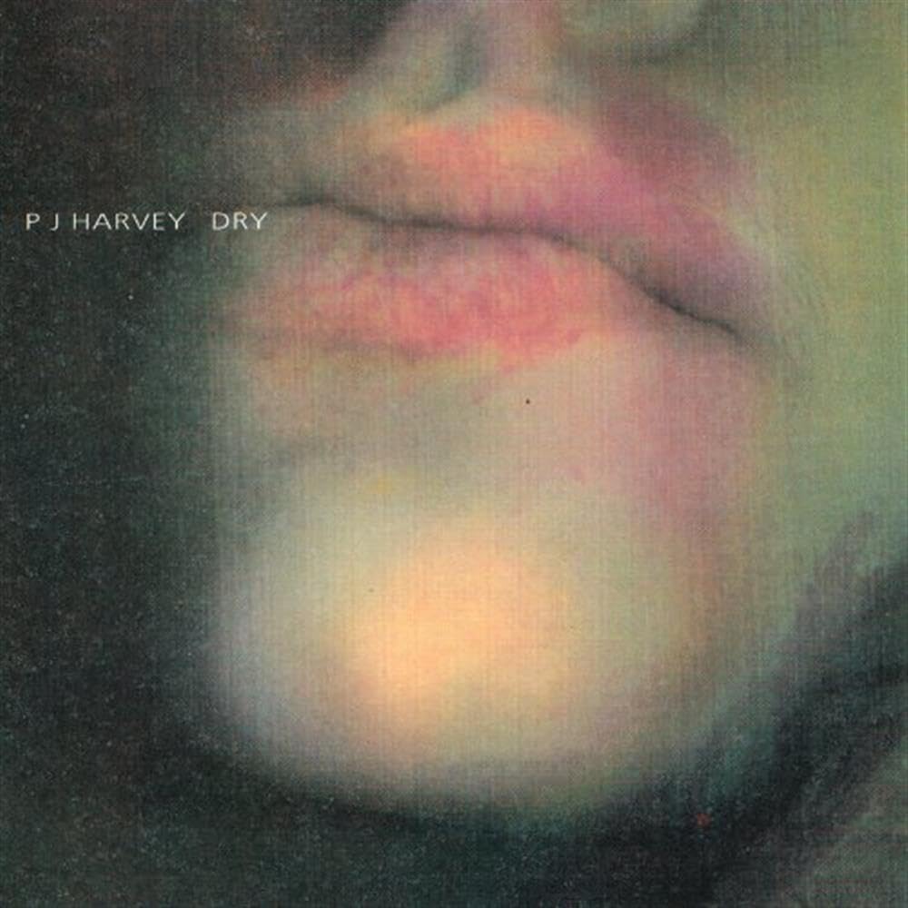 新品 PJ HARVEY DRY アナログ 61JNShfda0L.jpg