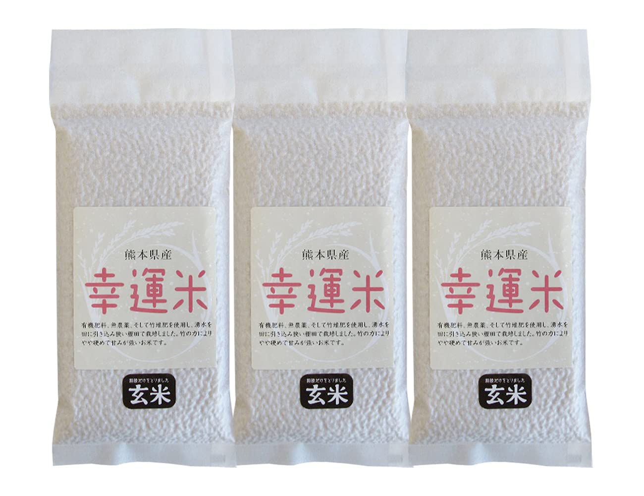 御船共栄 熊本県産 玄米 幸運米 真空パック お試しセット