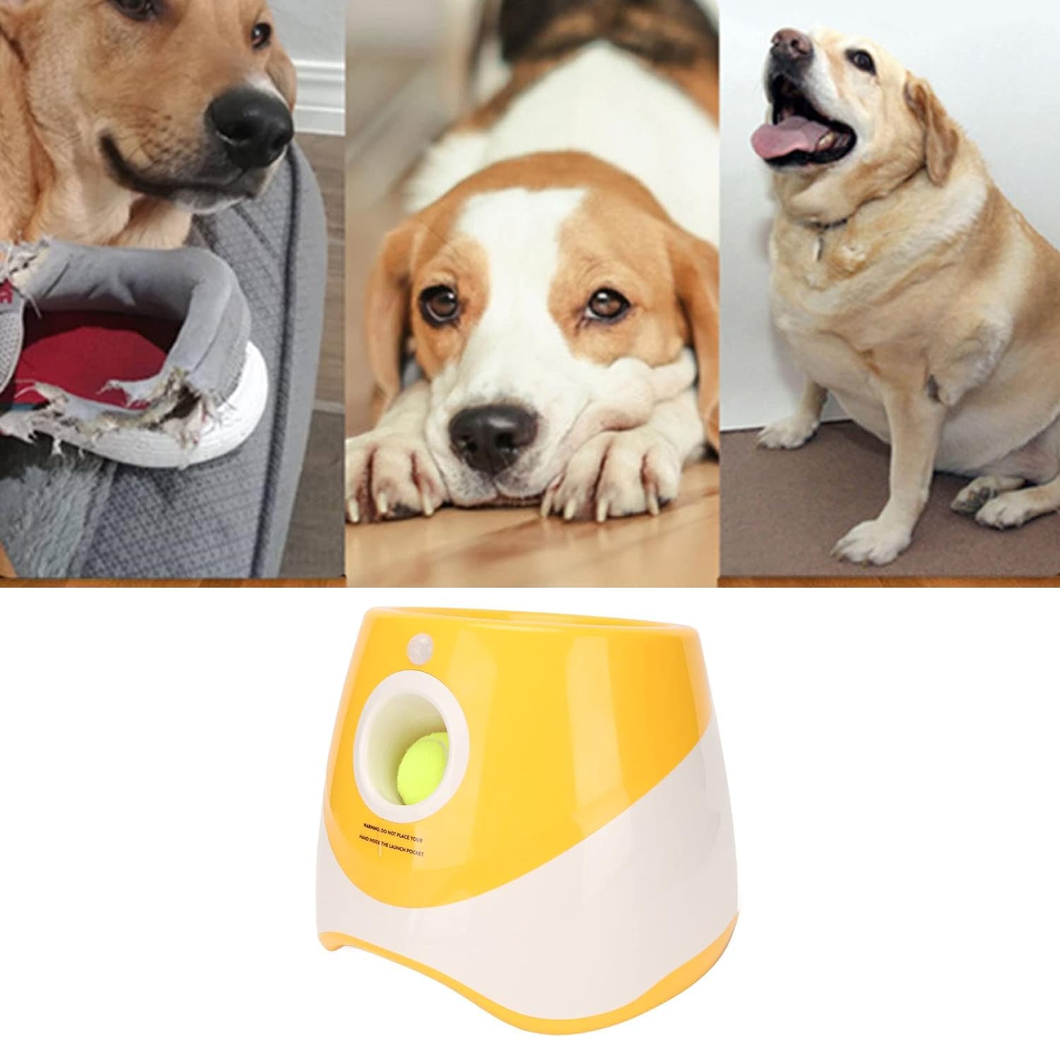 小型犬および中型犬用プラスチック犬自動ボールランチャー Amazon | 犬ボール投げランチャー、小型犬および中型犬用