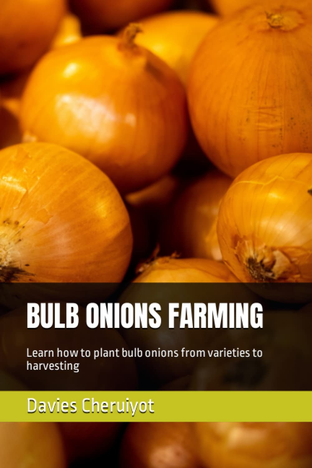 BULB ONIONS FARMING: Learn how to plant bulb onions from varieties to harvesting (Farm Management)